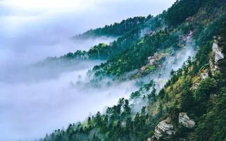 國內8月醉美旅行地 解鎖炎夏的清涼與絕景
